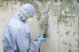 Best Mold Remediation for Vacation Homes  in Milwaukee, WI